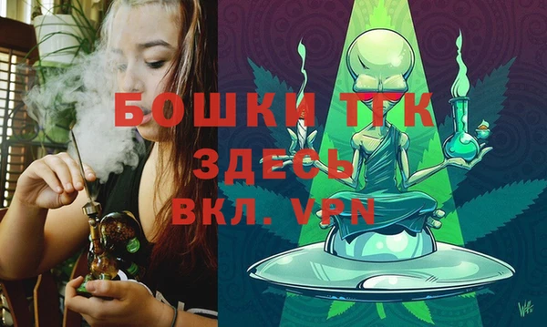 стаф Арсеньев