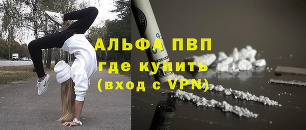 стаф Арсеньев